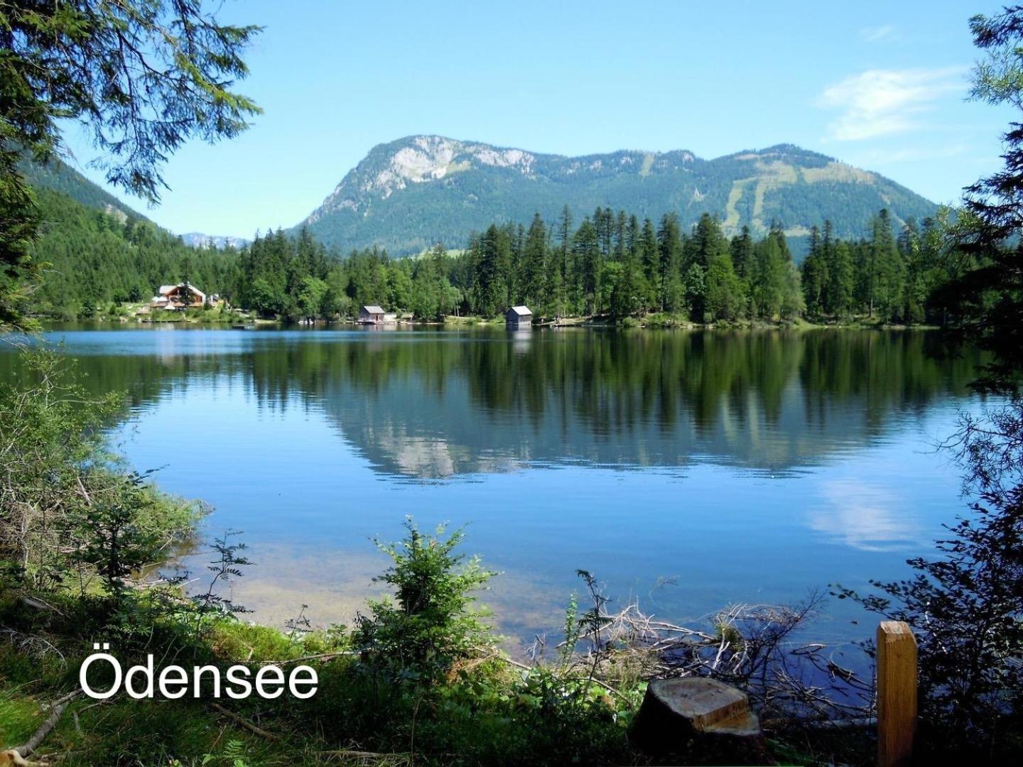 Appartement Alploft Top2 Bad Mitterndorf